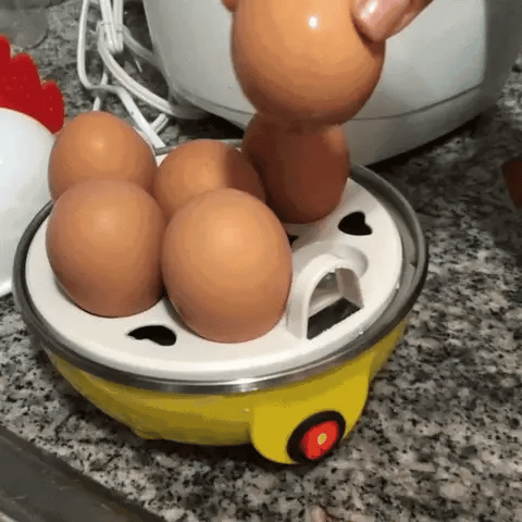 Gallina Hervidora de huevos