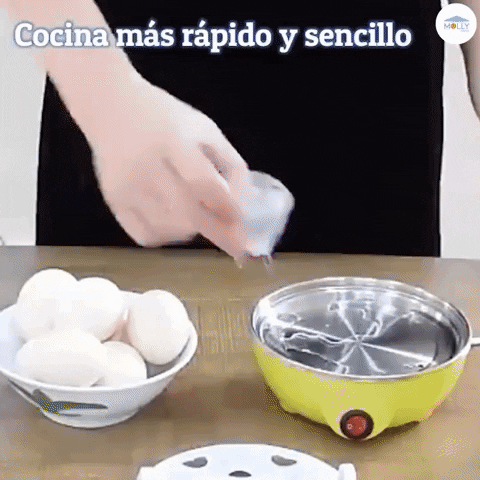 Gallina Hervidora de huevos